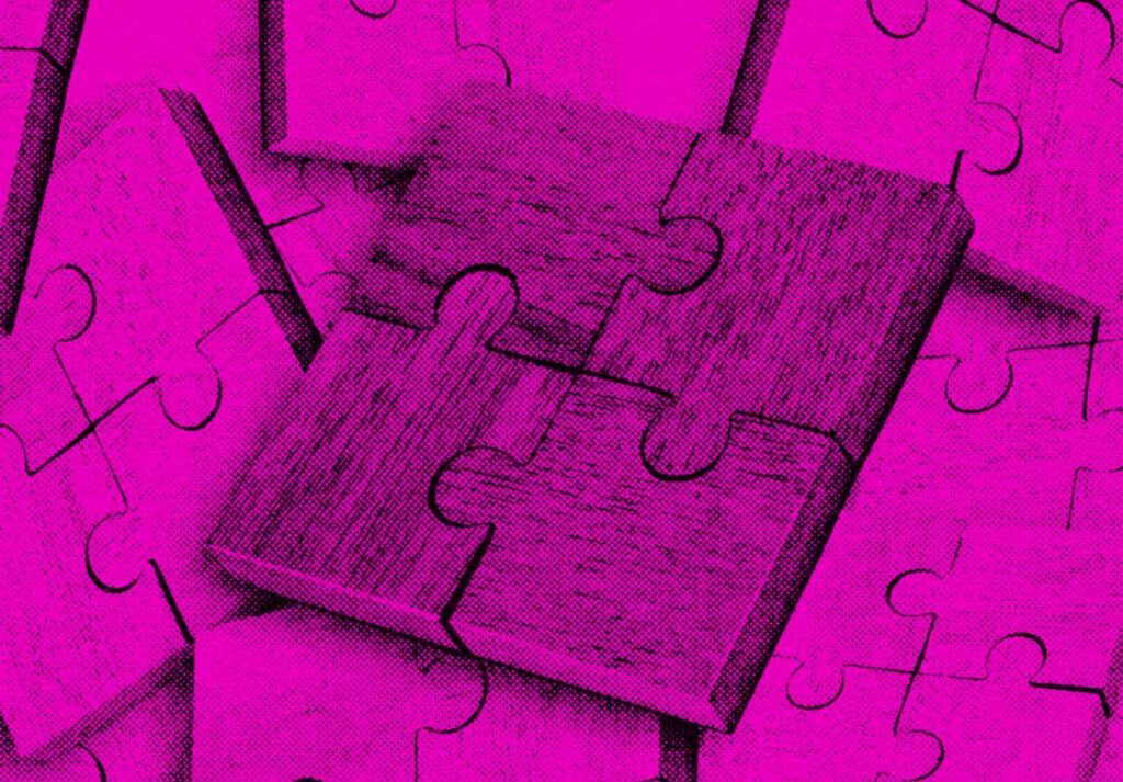 Partnership Profile: Centro and Basis In The House.
